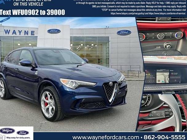 ALFA ROMEO STELVIO 2021 ZASPAKEV5M7D20902 image